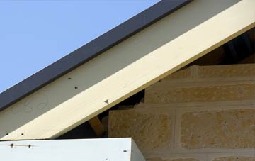 The Ridge fascia repairs