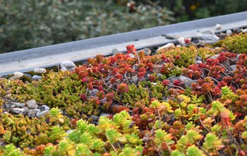the cost of The Ridge green roof installation