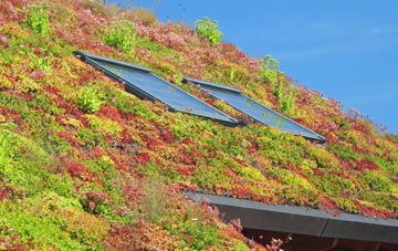 The Ridge living roof systems