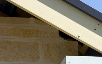 soffit repair The Ridge