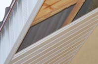rated The Ridge soffit repair companies